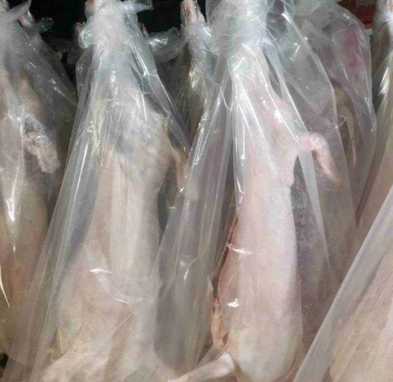 烤全羊白条羊酮体四分体一手货源欢迎订购