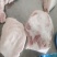 面肉