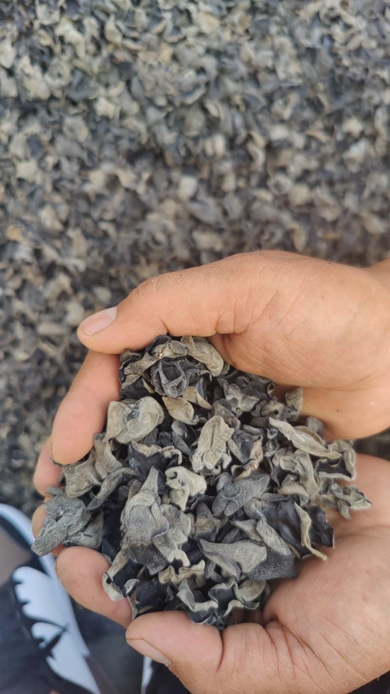 东北黑木耳干货黑厚高泡发一斤泡发10斤比质量比价格