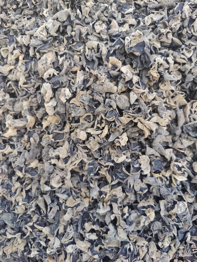 【保证质量】优质东北黑木耳干货敢比质量电商支持一件代发