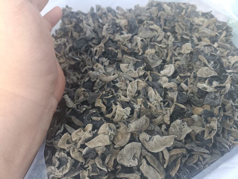 【保证质量】优质东北黑木耳干货敢比质量电商支持一件代发