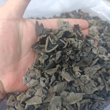 【保证质量】优质东北黑木耳干货敢比质量电商支持一件代发