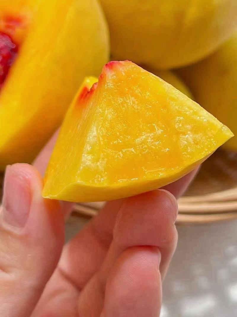 黄锦绣蜜桃，锦绣黄桃大量上市了新鲜采摘口感脆甜多汁
