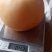 【牛商推荐】砀山秋月梨蜜梨糖分高果型正对接商超市场