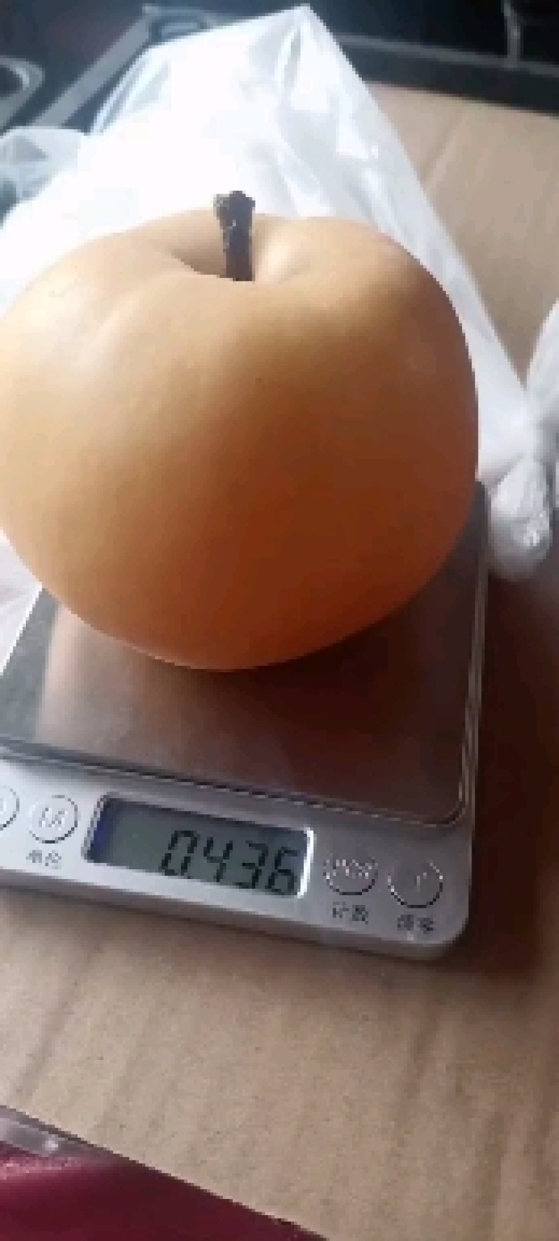 【牛商推荐】砀山秋月梨蜜梨糖分高果型正对接商超市场