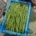 四季豆.无丝豆.架豆王.豆王.山东青州