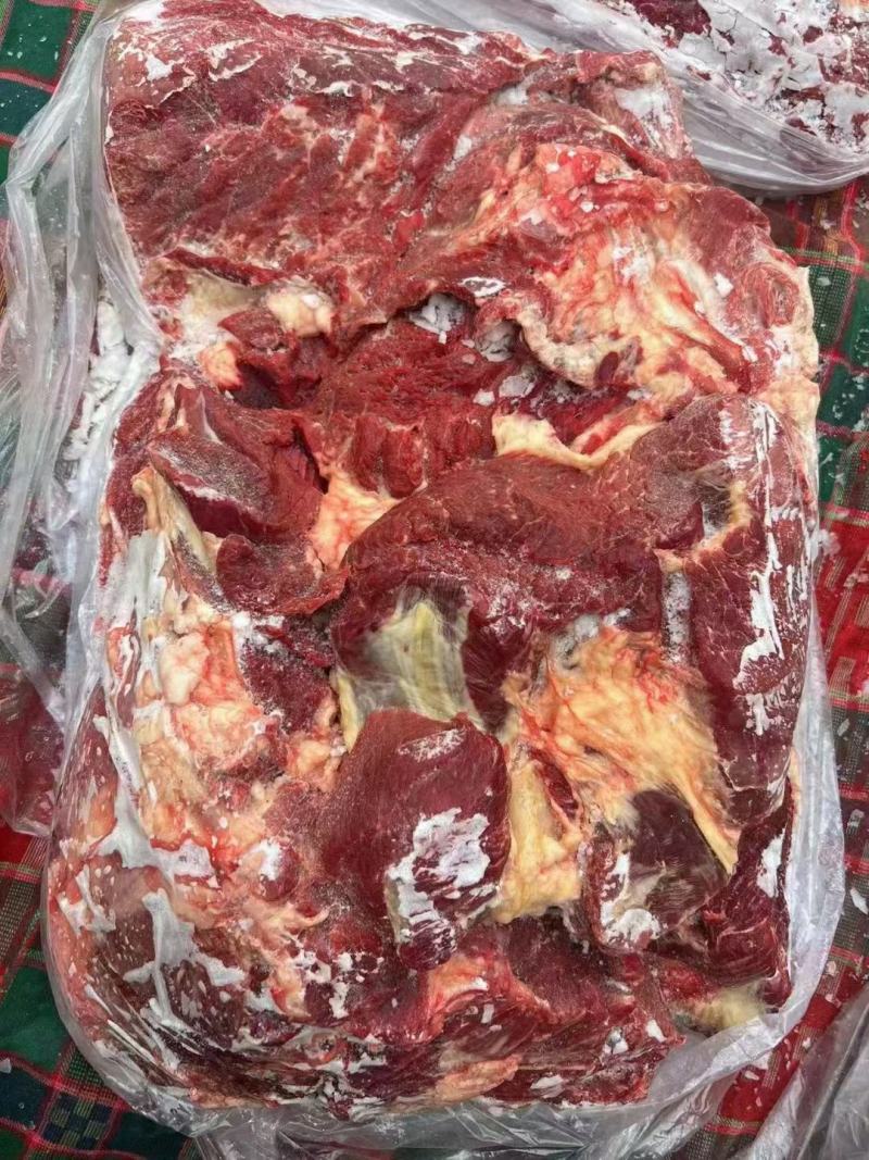马肉，马健子四分体马肉