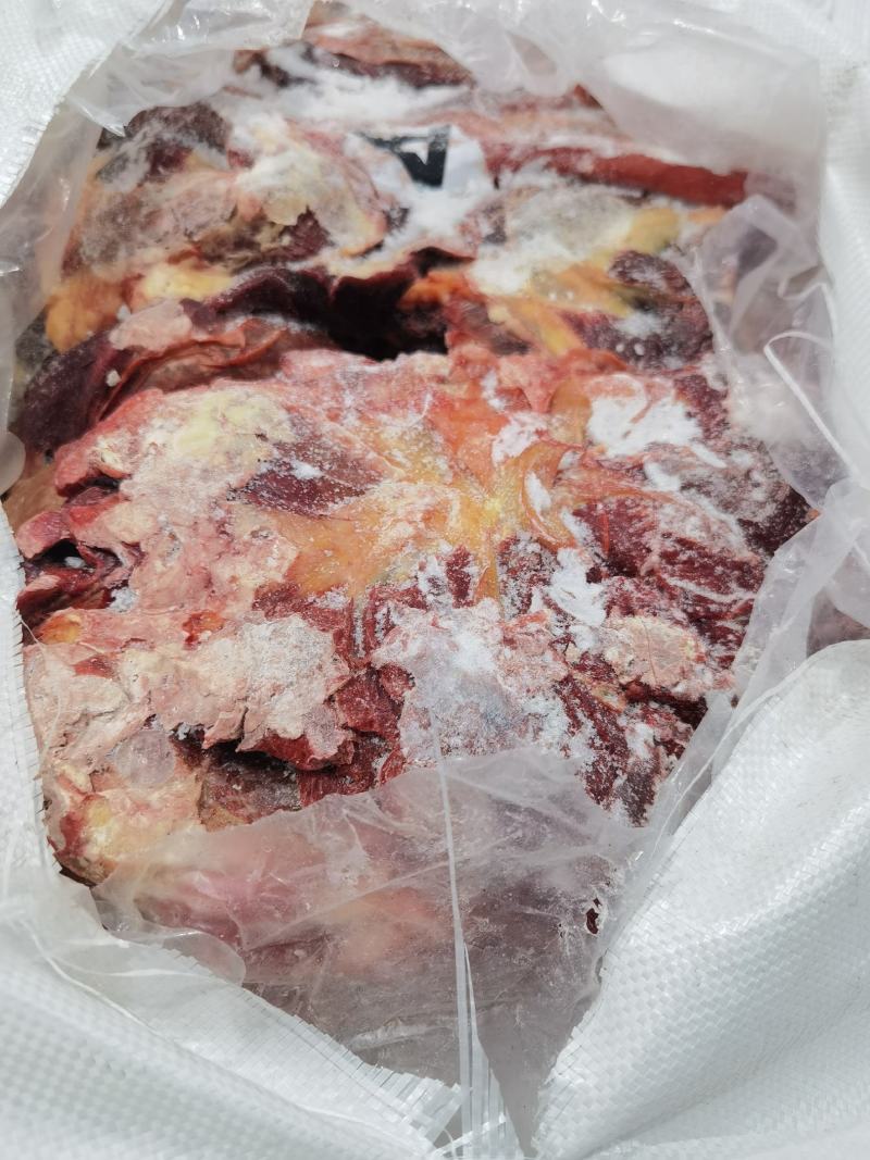 马肉，马健子四分体马肉