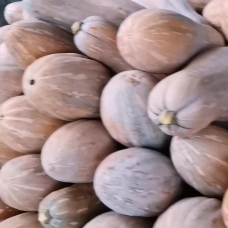 蜜本南瓜