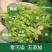 张家界莓茶