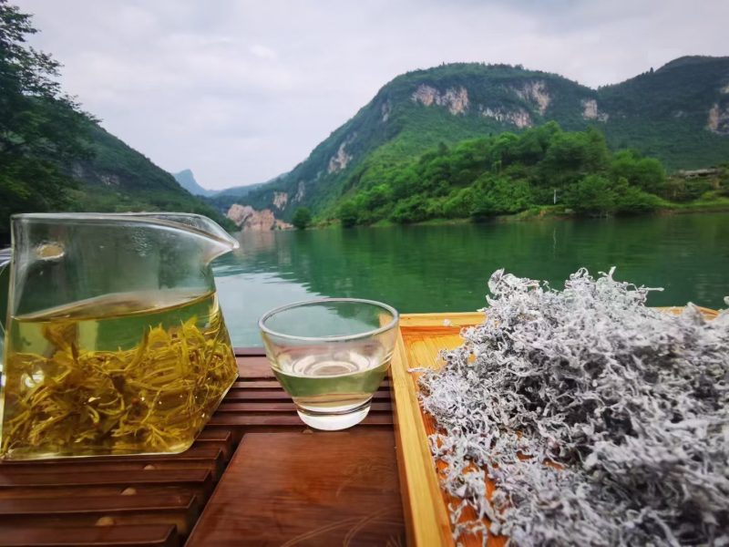 张家界莓茶