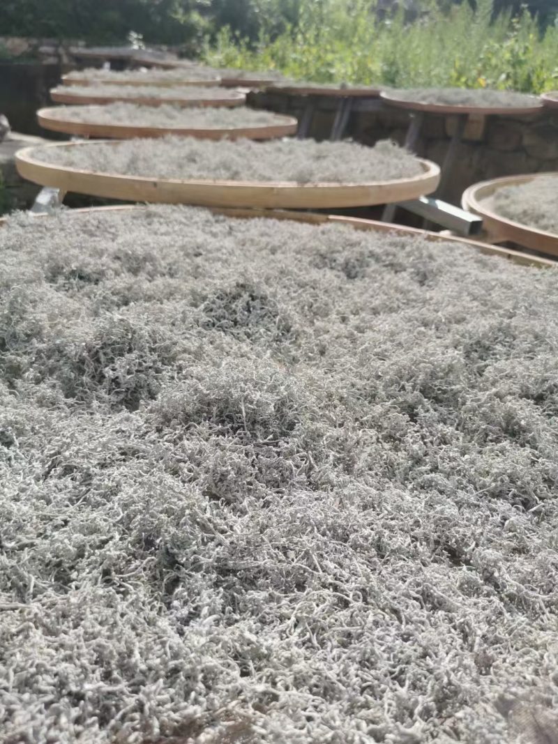 张家界莓茶