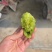 碧玉有机认证猕猴桃