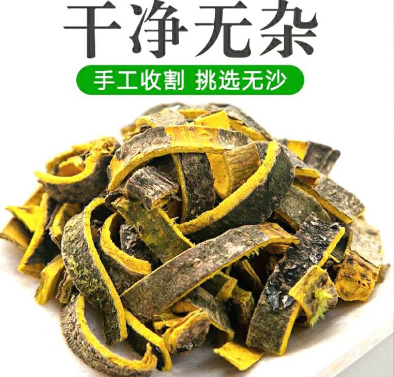 黄柏道地中药材川黄柏现釆现晒干净无杂泡茶泡水包邮