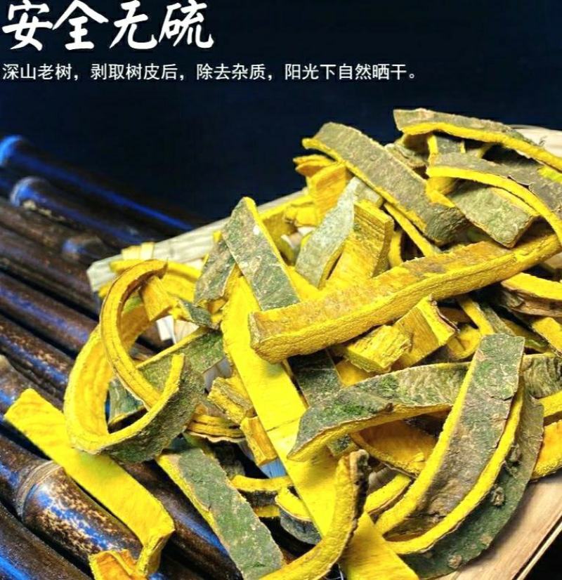 黄柏道地中药材川黄柏现釆现晒干净无杂泡茶泡水包邮