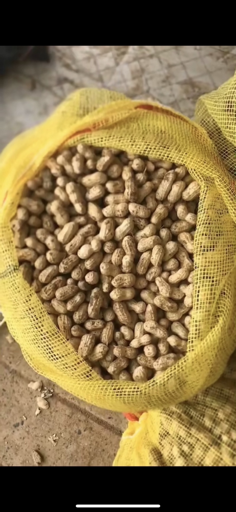 中花16花生干湿都有
