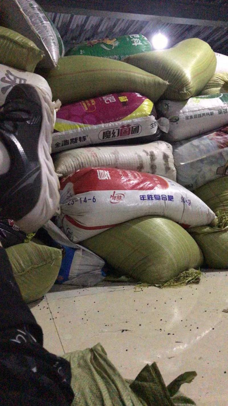 甘肃天水大红袍花椒籽颗粒饱满高脂肪产地直销支持视频看货