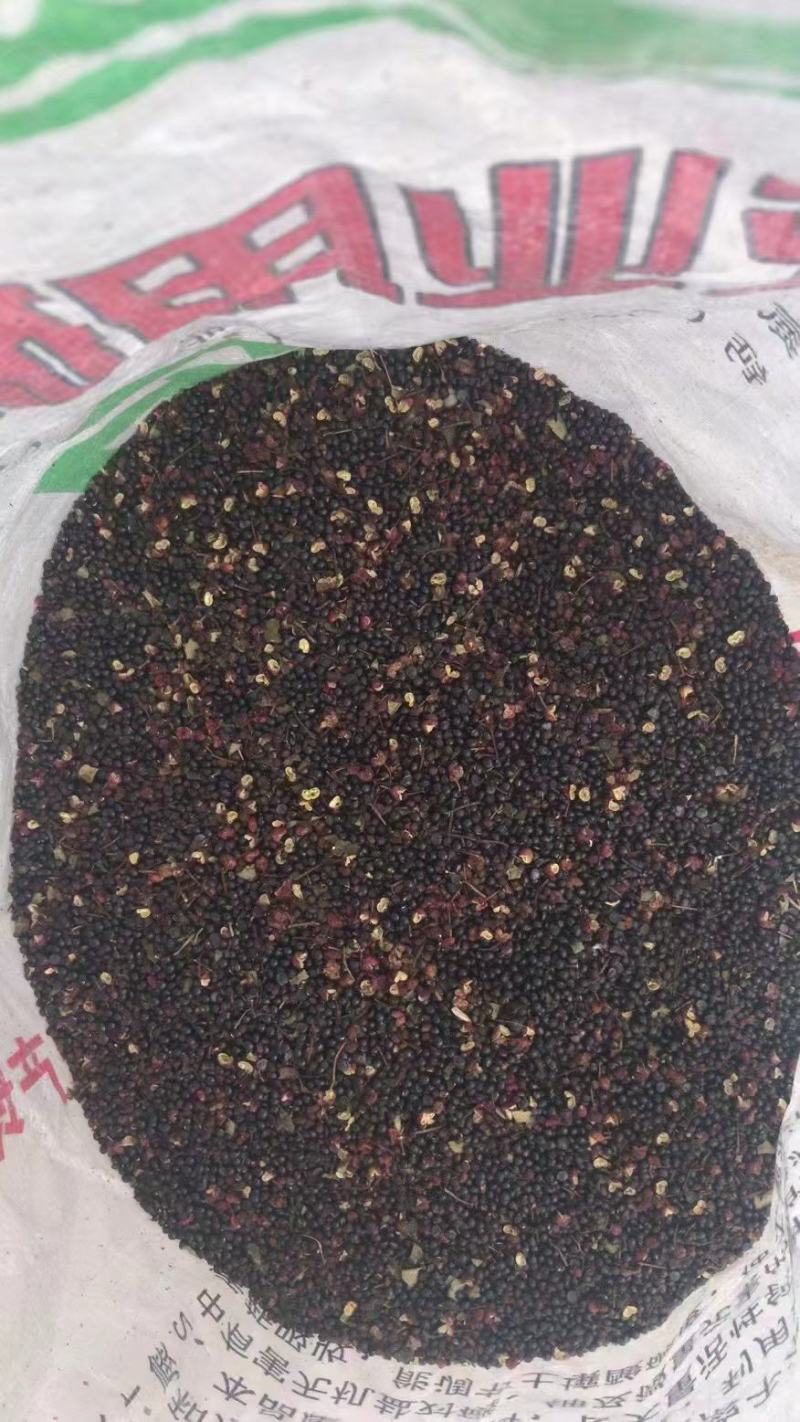 甘肃天水大红袍花椒籽颗粒饱满高脂肪产地直销支持视频看货