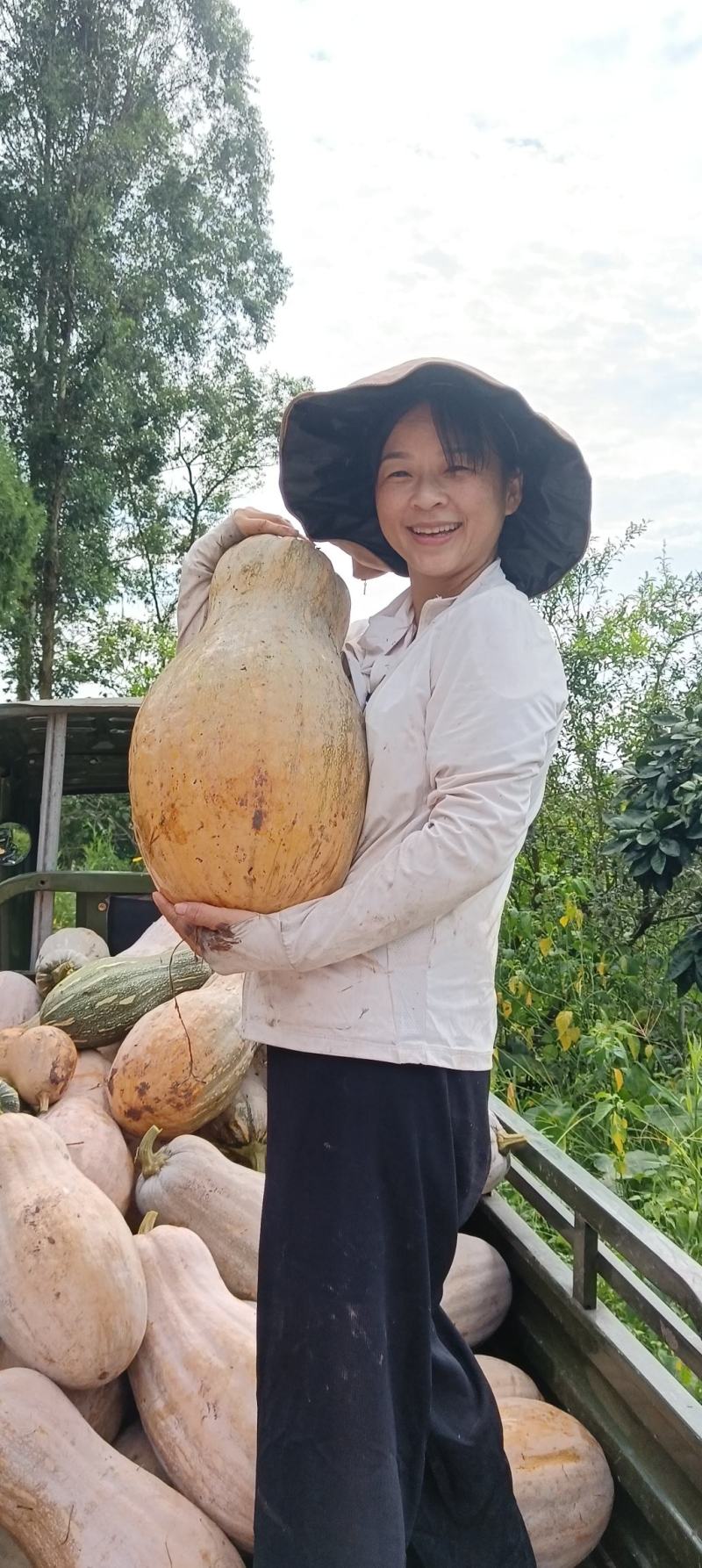 蜜本老南瓜