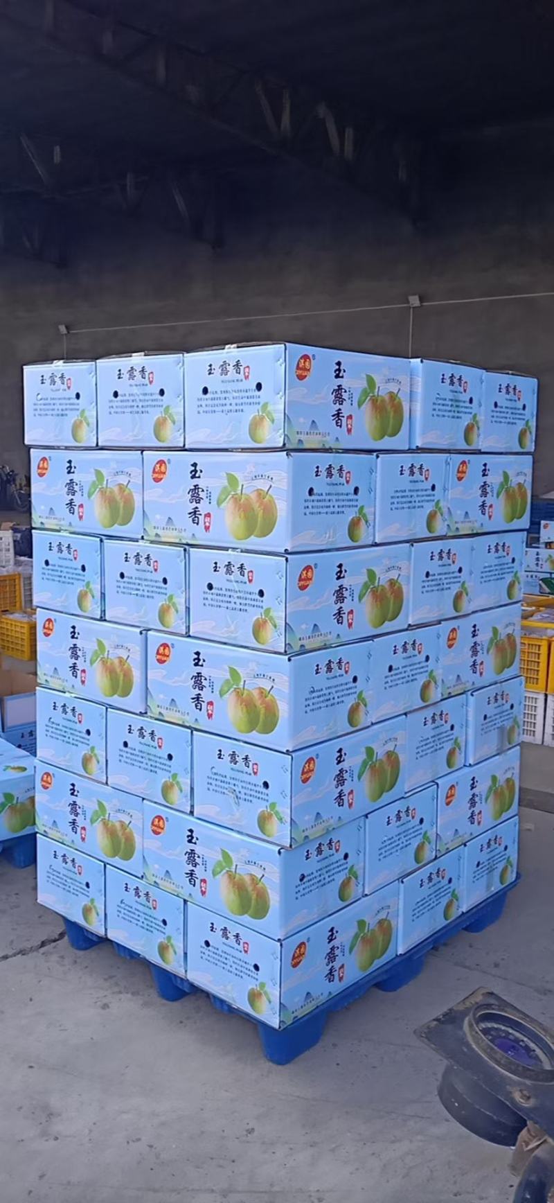 雨露香梨