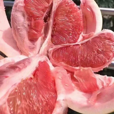 三红蜜柚