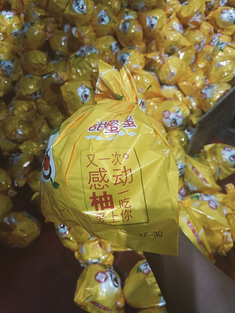 三红蜜柚