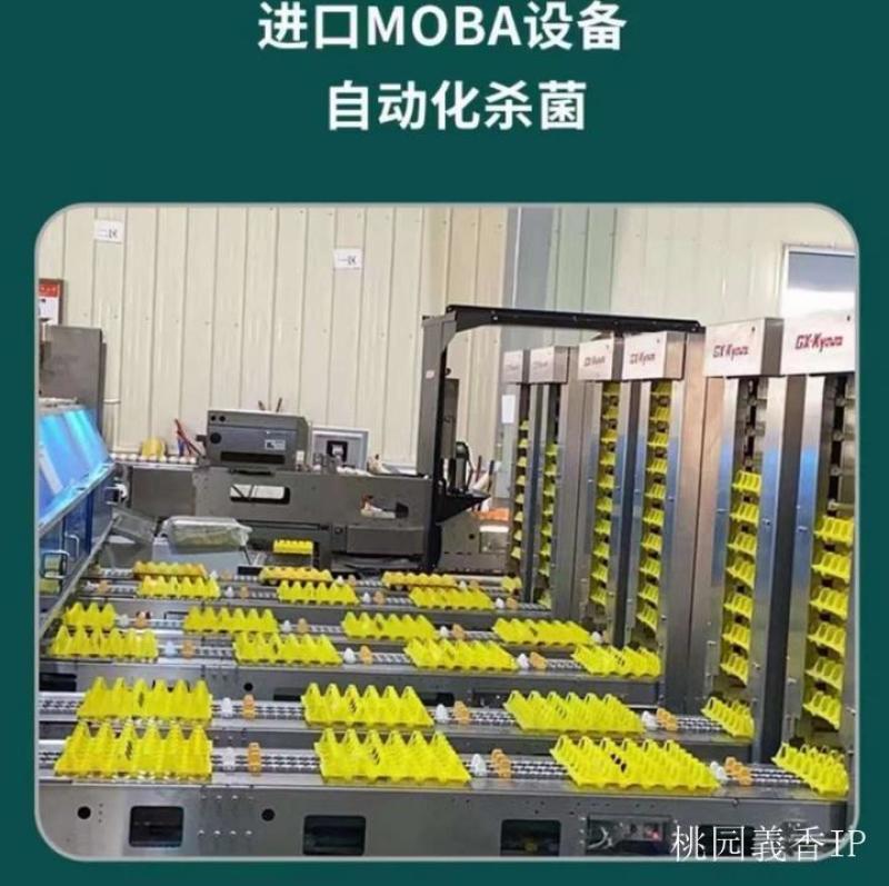 青岛林宇农场壹号扎蛋每盒30枚