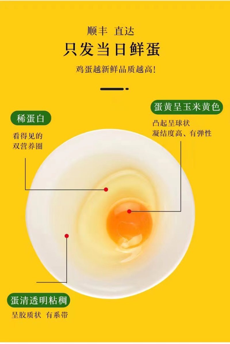 青岛林宇农场壹号扎蛋每盒30枚
