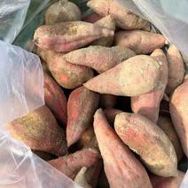 红薯，西瓜红，广东潮州