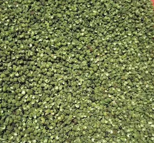 变质的尖椒特写,展示其发软和变色的特征 变质的尖椒特写,展示其发软和变色的特征