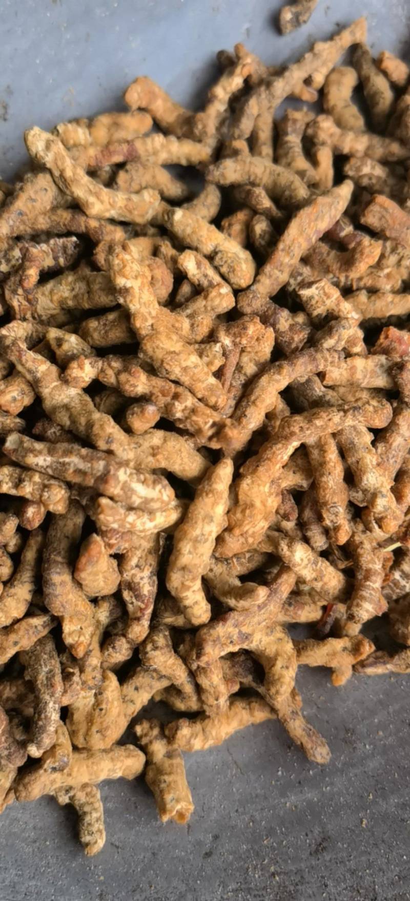 僵蚕，选，麦麸僵蚕，关书药业批发各种规格中药材…