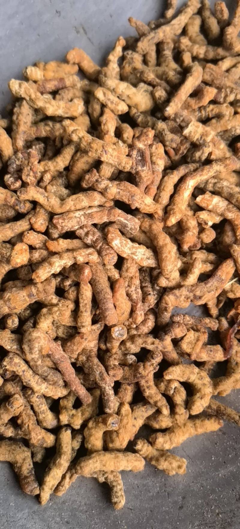 僵蚕，选，麦麸僵蚕，关书药业批发各种规格中药材…