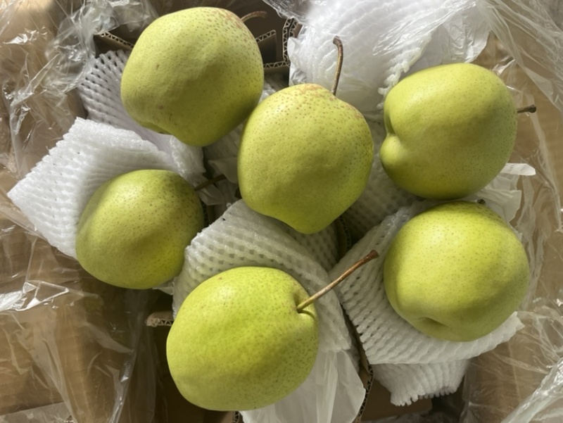 雪花梨
