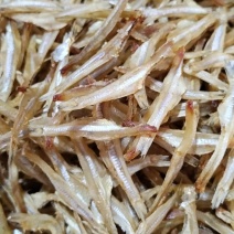 白凡鱼鱼干海鱼去头去肚