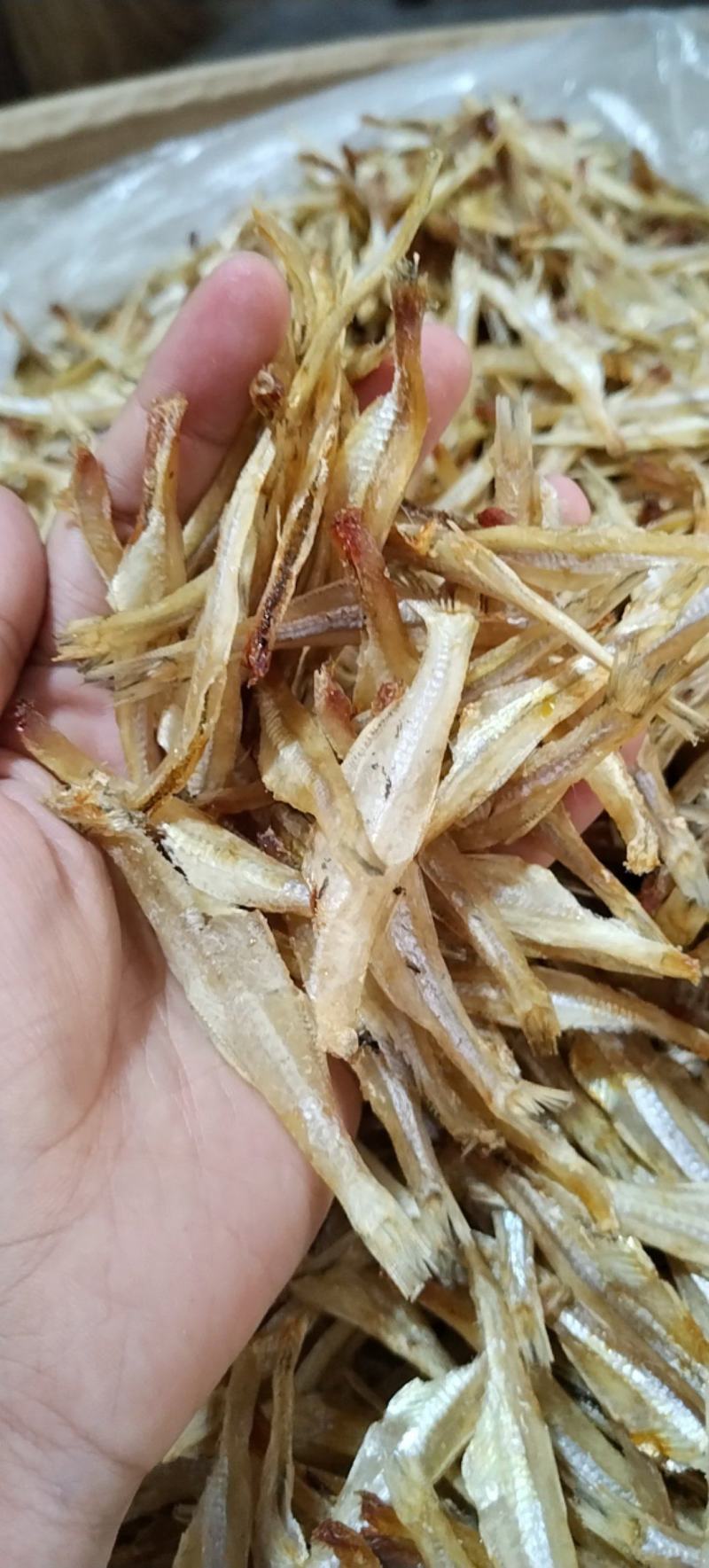 白凡鱼鱼干海鱼去头去肚