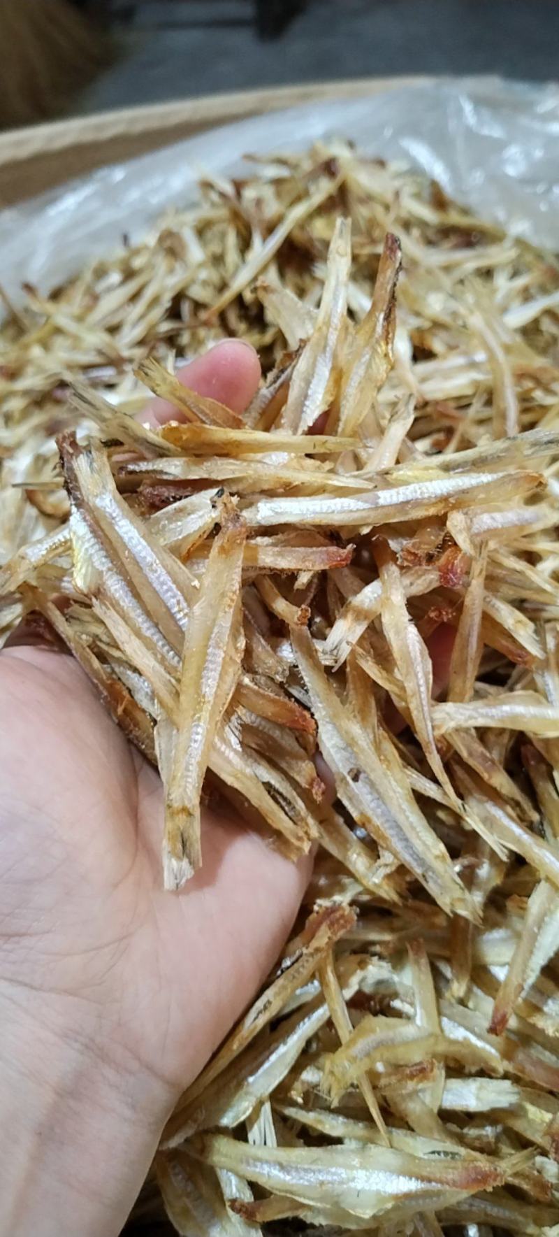 白凡鱼鱼干海鱼去头去肚
