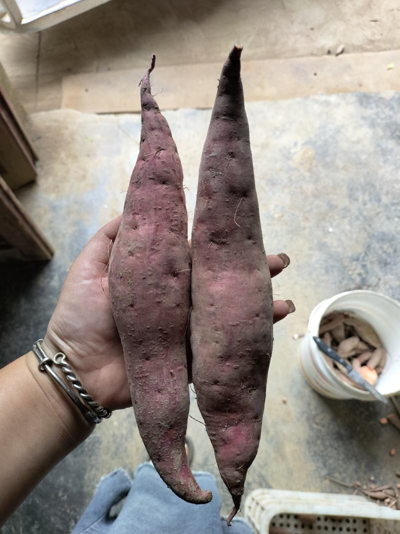 西瓜红红薯，自己家种的，软糯香甜，