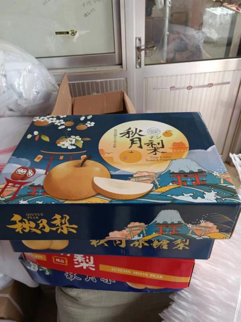 秋月梨大量冷库秋月梨对接全国各地客户前来采购选购