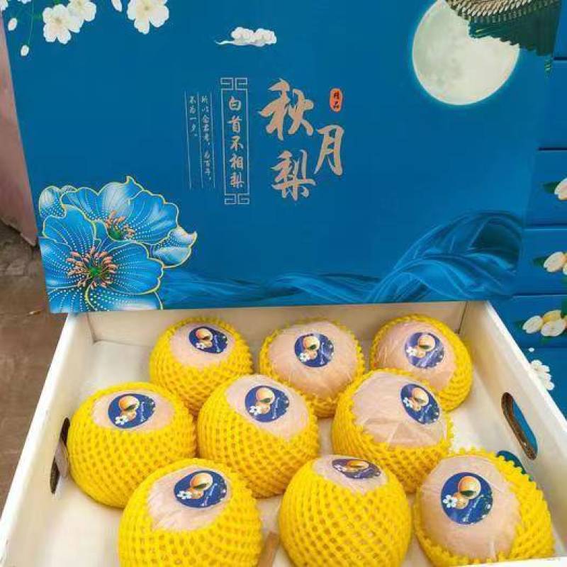 秋月梨大量冷库秋月梨对接全国各地客户前来采购选购