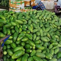 我有大量热带水果木瓜全年供应，欢迎老板合作共赢，收货
