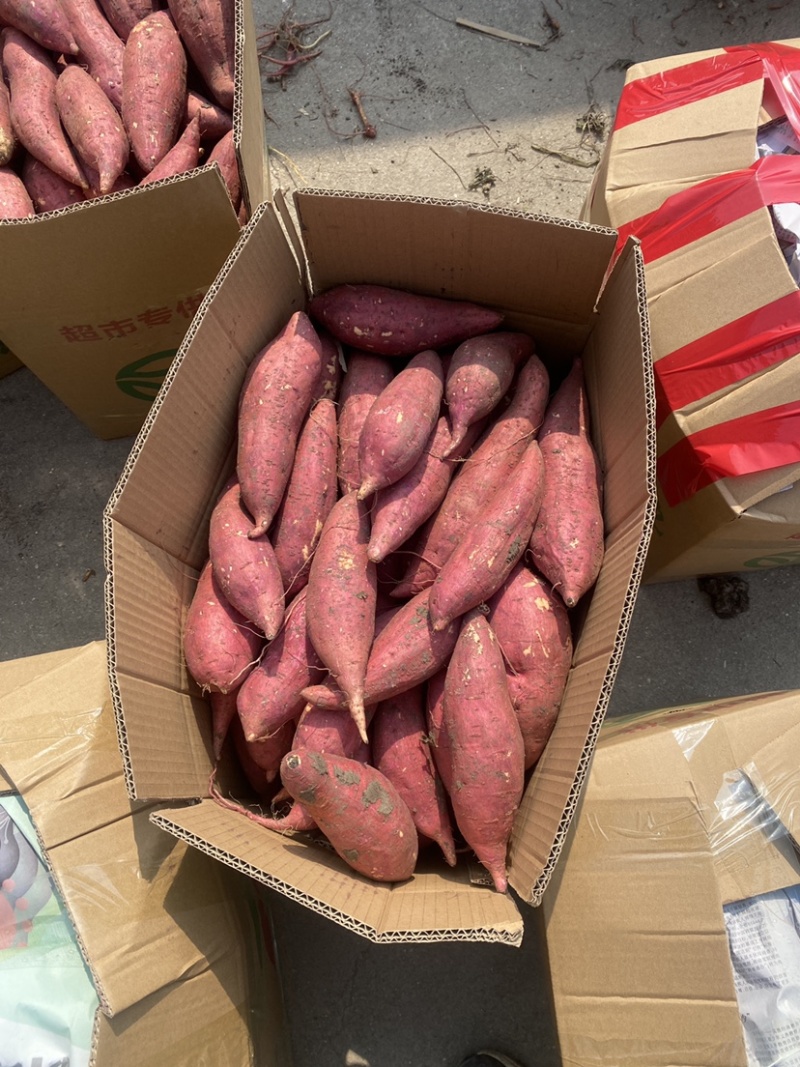 精品西瓜红蜜薯，基地直发，价格优惠，质量保证