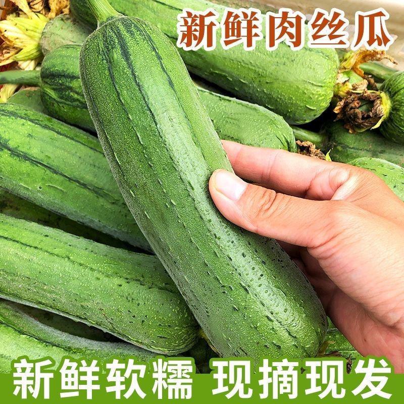 首单补贴]新鲜肉丝瓜短丝瓜青皮丝瓜大量上市全国发货