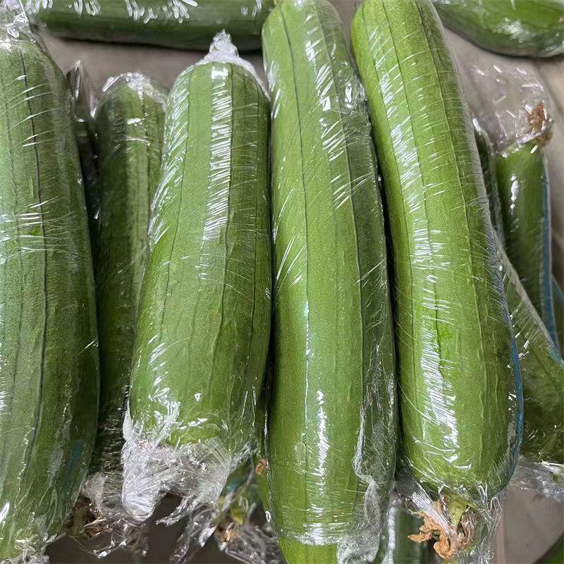 首单补贴]新鲜肉丝瓜短丝瓜青皮丝瓜大量上市全国发货