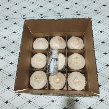 海南椰青清甜可口产地直发对接各大电商平台批发商