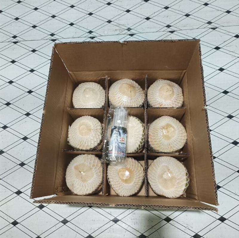 海南椰青清甜可口产地直发对接各大电商平台批发商