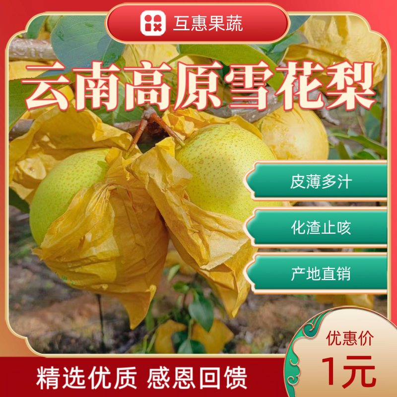 云南红河皇壹甜直供翡翠冰梨，对接全国电商市场客户