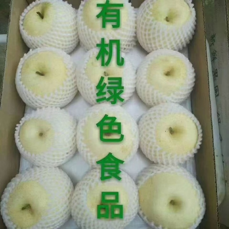 博望黄金梨