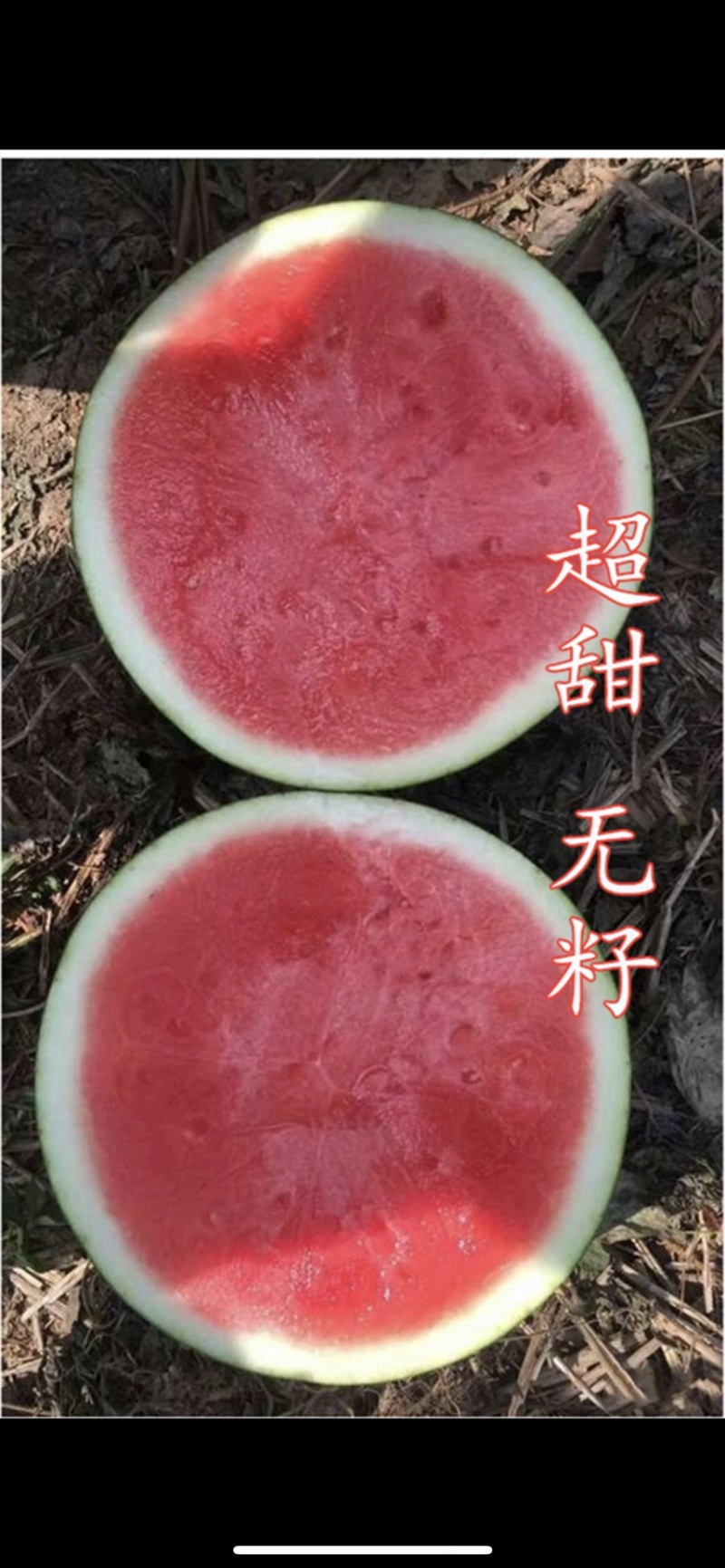 内蒙古通辽奈曼旗精品花无籽西瓜电商货市场货