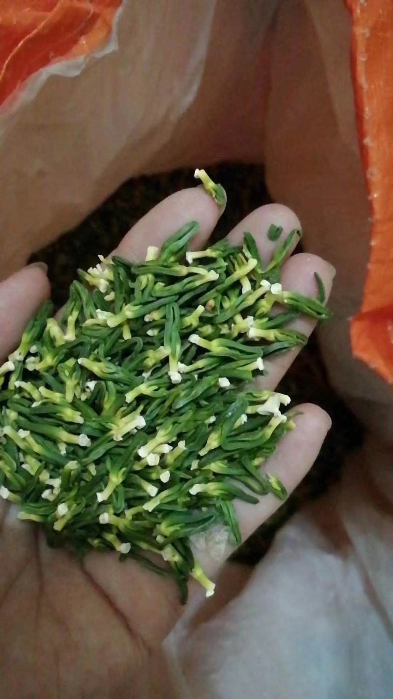 今年新出干莲子心，江西莲子心，干莲心批发