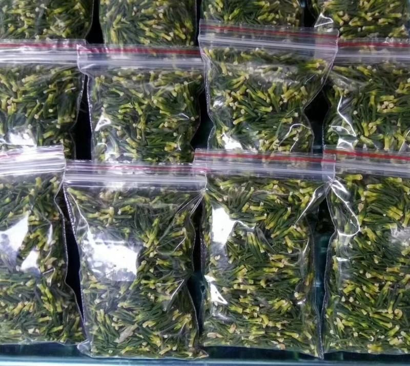 今年新出干莲子心，江西莲子心，干莲心批发